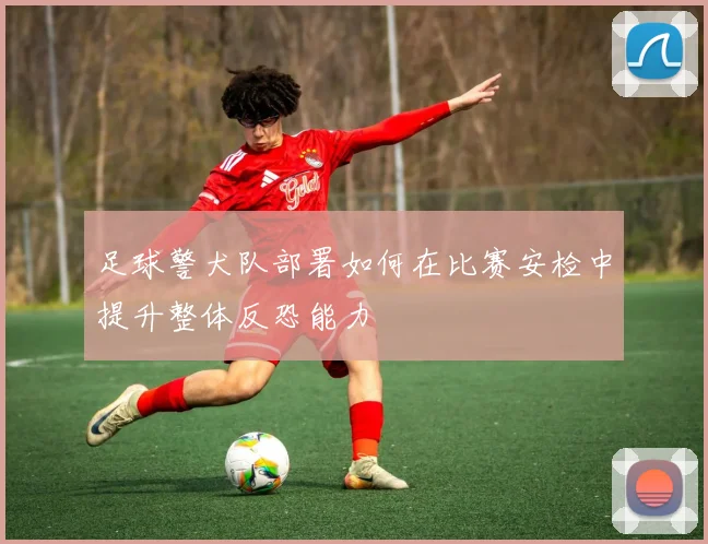 足球警犬队部署如何在比赛安检中提升整体反恐能力