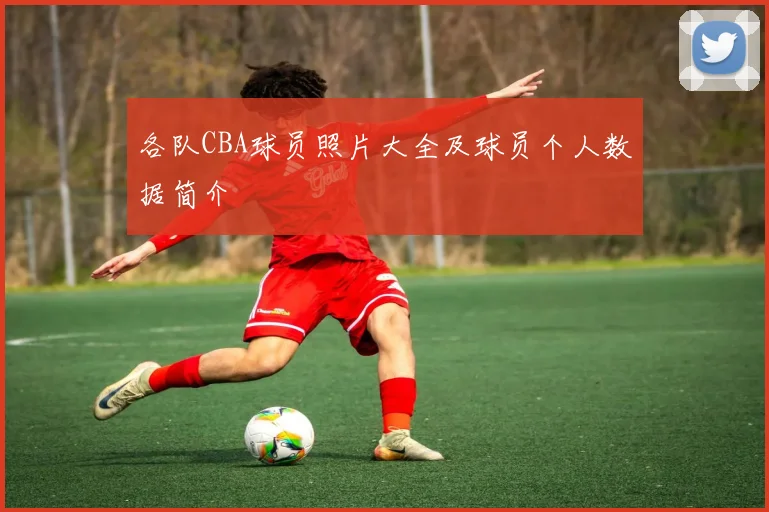 各队CBA球员照片大全及球员个人数据简介