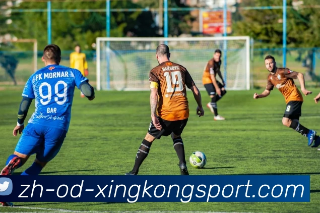 星空体育平台生态图