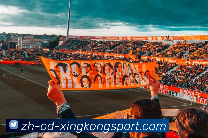 星空体育APP 封面图